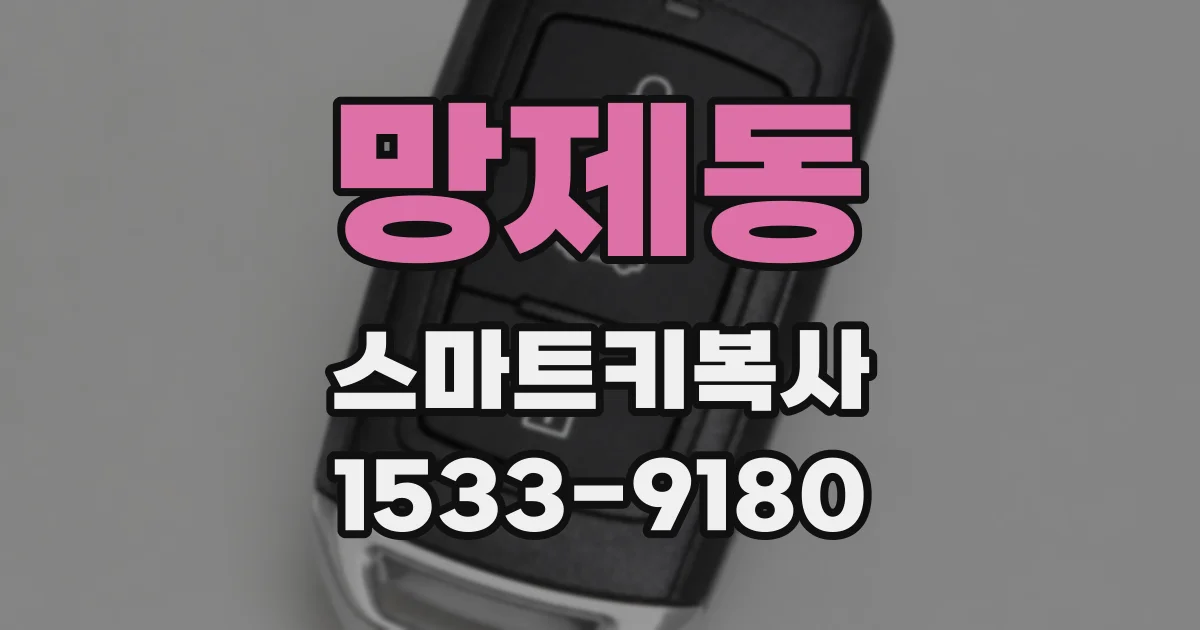 망제동 스마트키복사