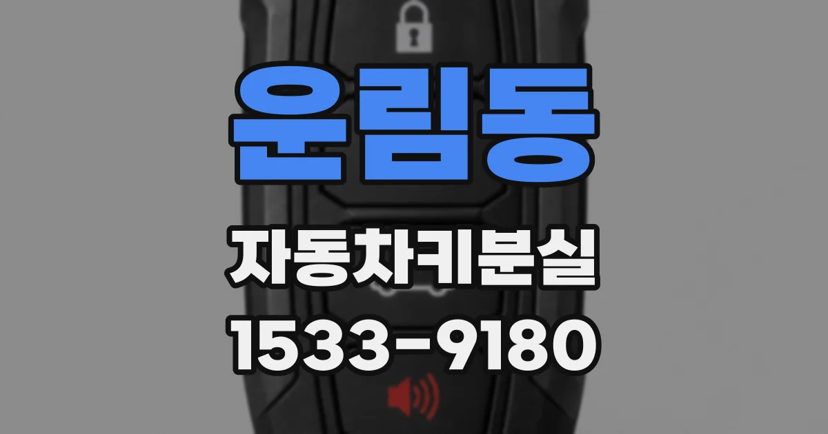 운림동 자동차키분실