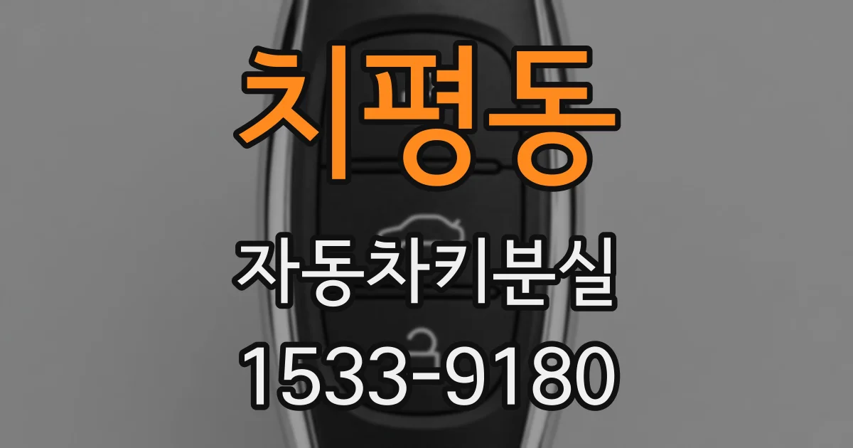 치평동 자동차키분실