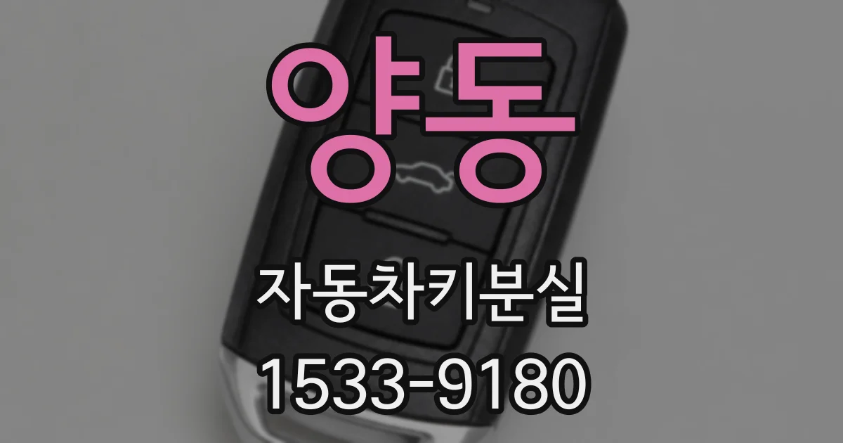 양동 자동차키분실