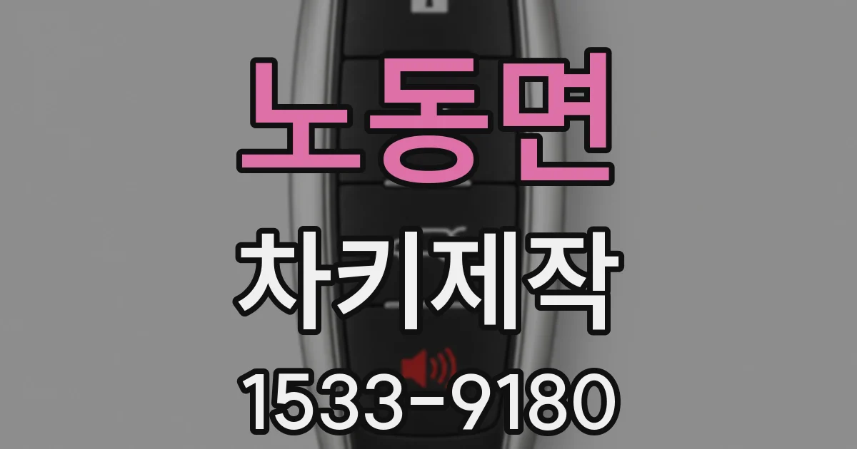 노동면 차키제작