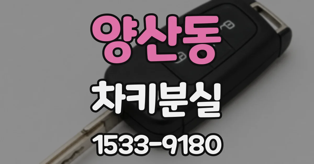 양산동 차키분실