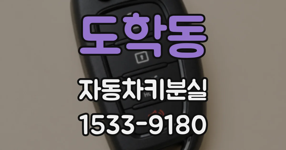 도학동 자동차키분실