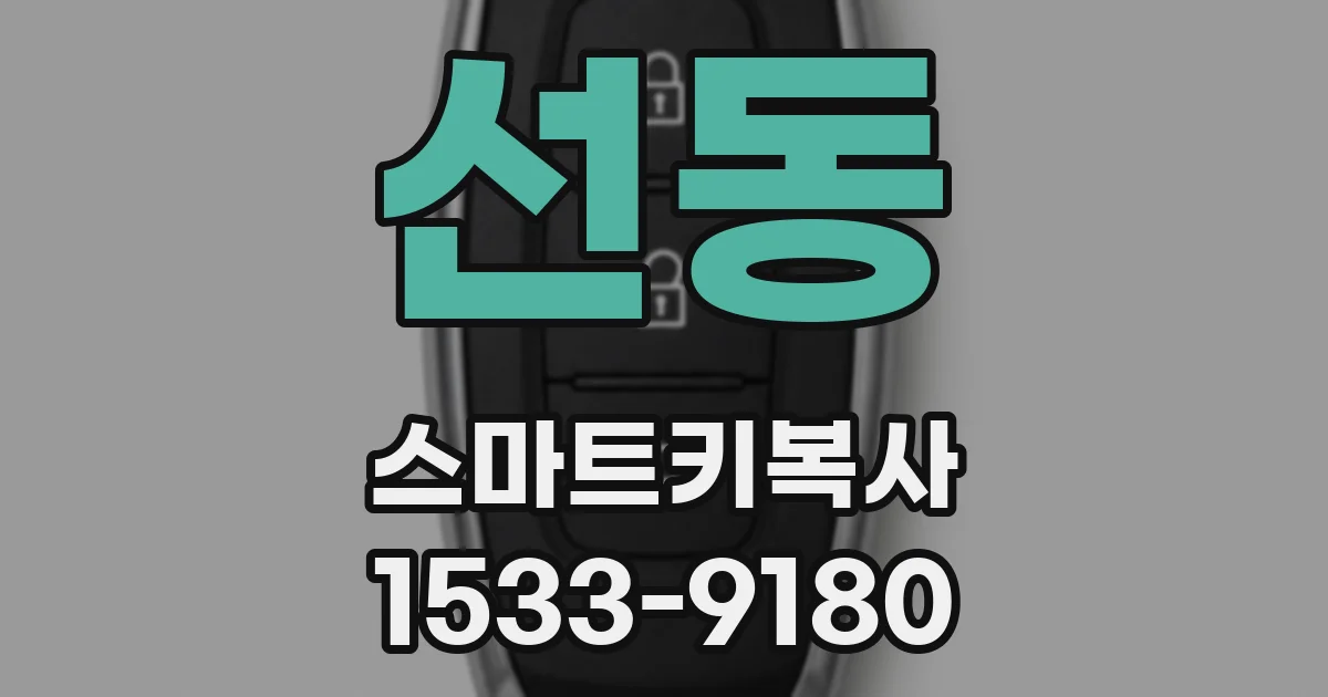 선동 스마트키복사