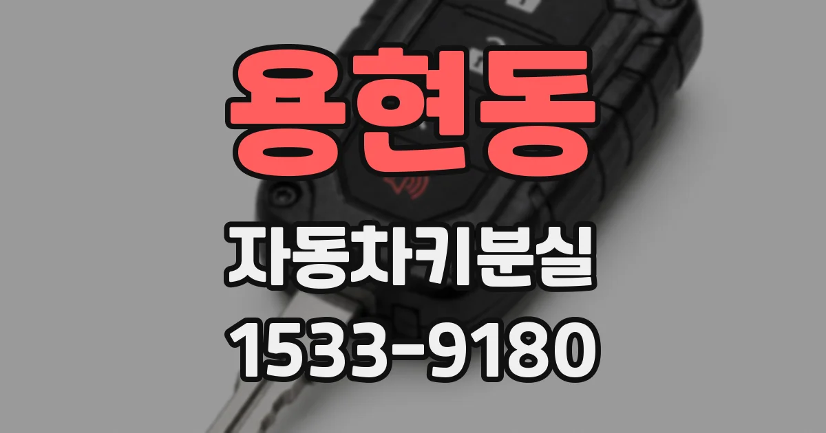 용현동 자동차키분실