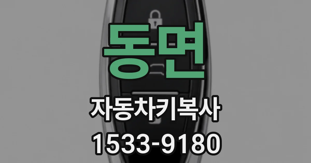 동면 자동차키복사