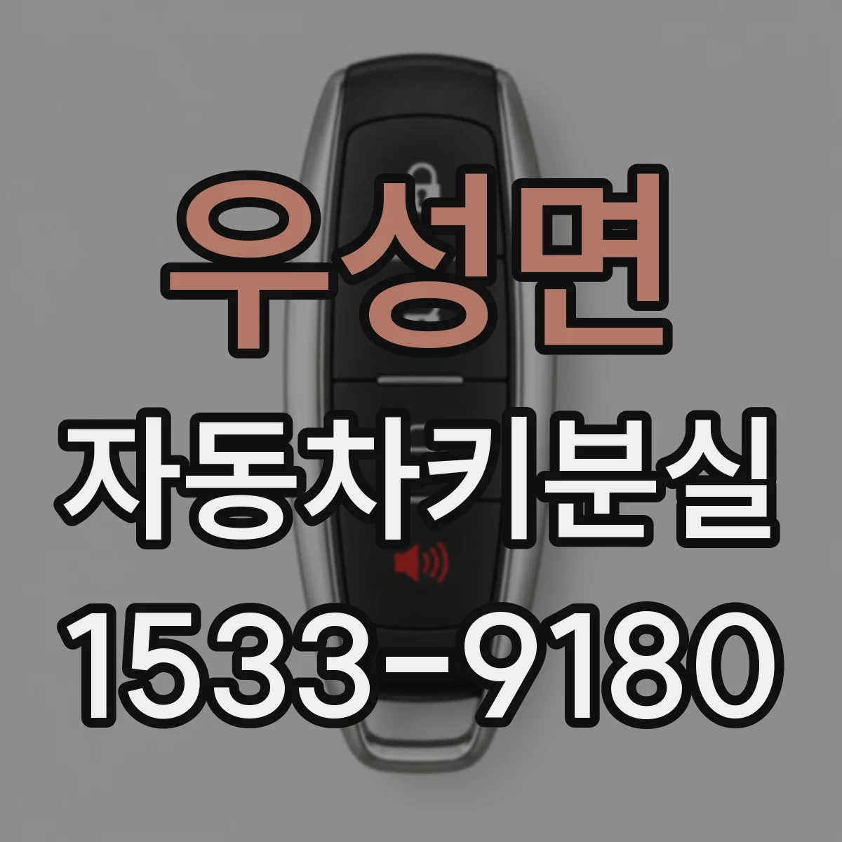 우성면 자동차키분실