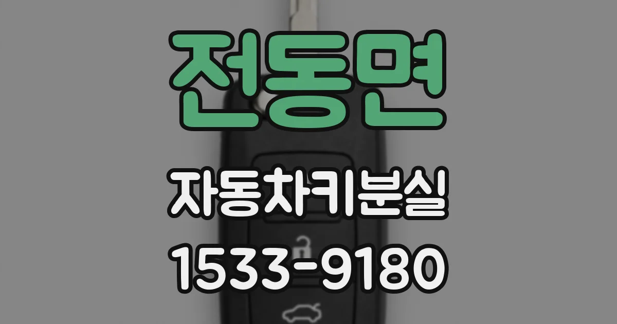 전동면 자동차키분실