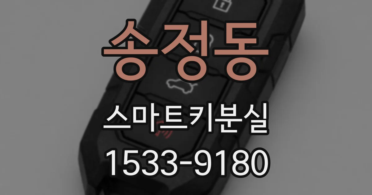 송정동 스마트키분실