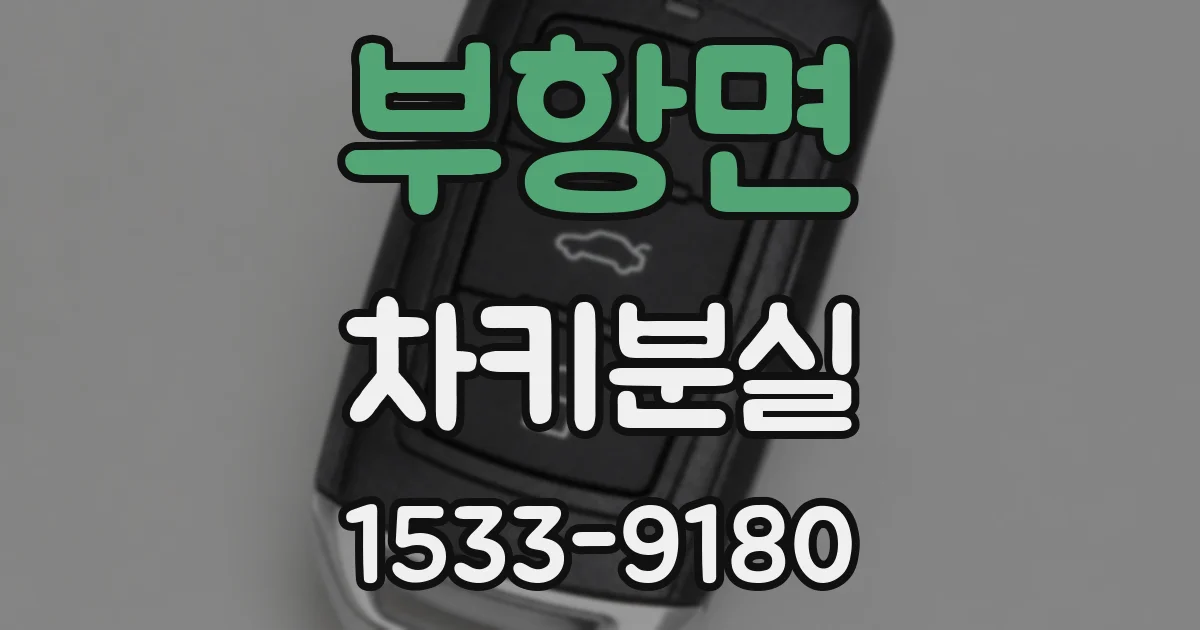 부항면 차키분실