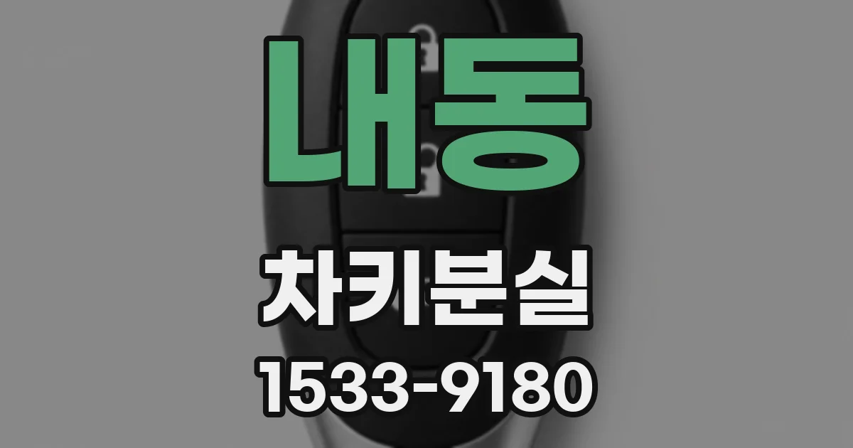 내동 차키분실