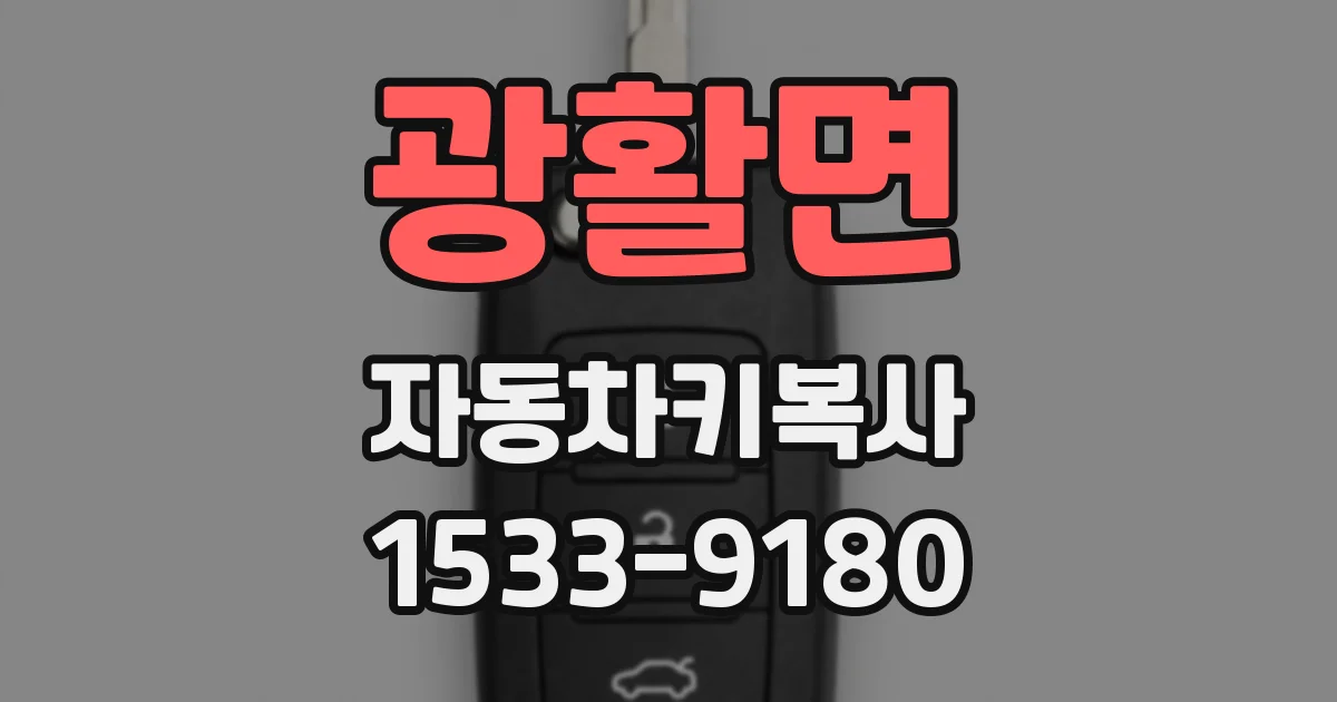 광활면 자동차키복사