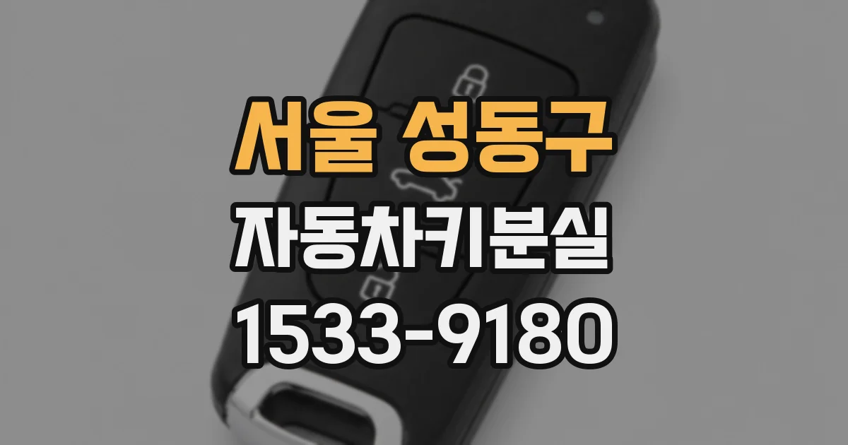 서울 성동구 자동차키분실