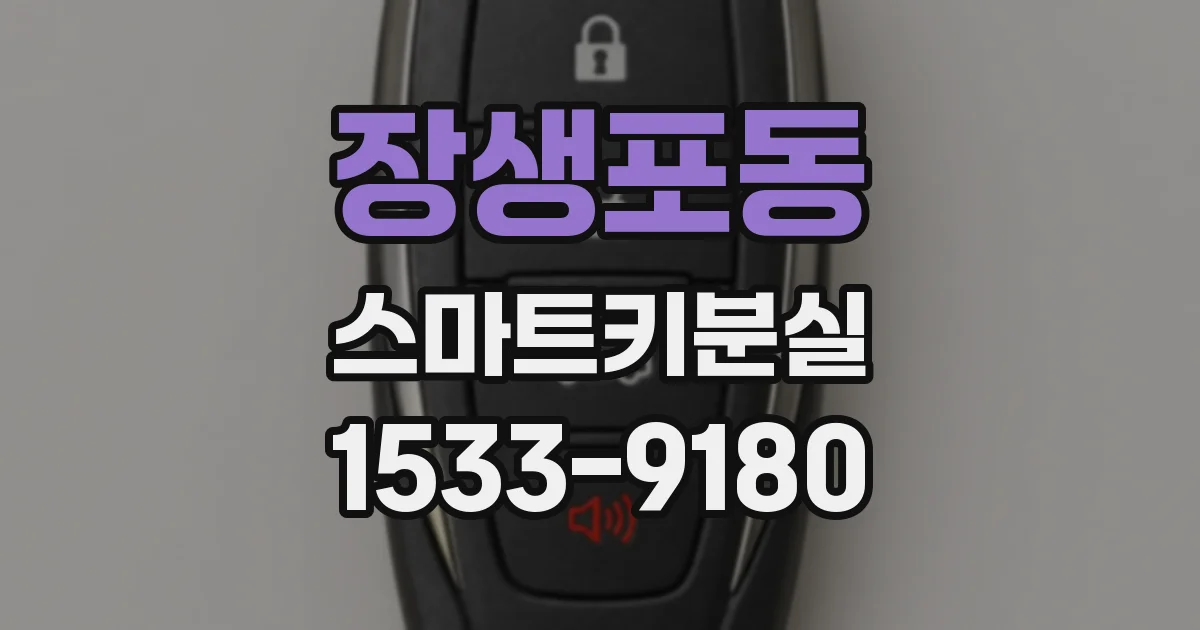 장생포동 스마트키분실