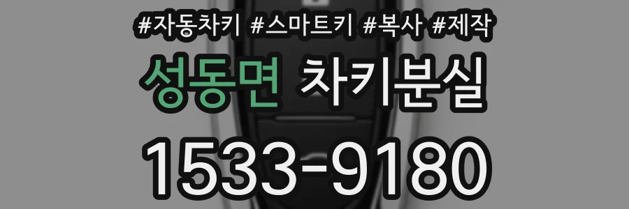 성동면 차키분실