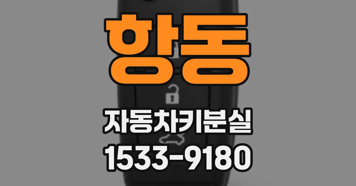 항동 자동차키분실