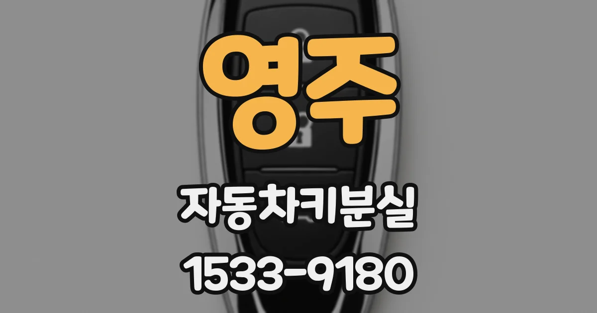 영주 자동차키분실