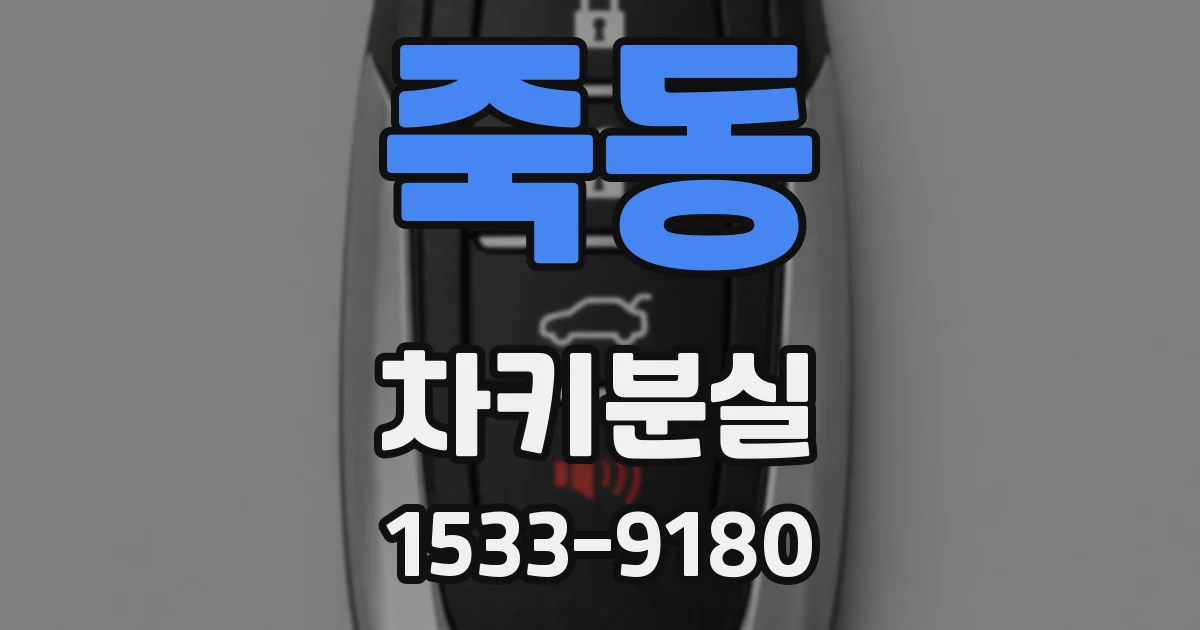 죽동 차키분실