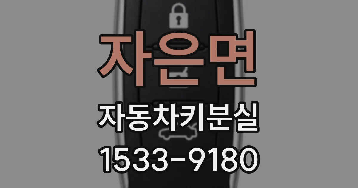 자은면 자동차키분실