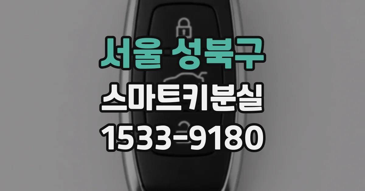 서울 성북구 스마트키분실