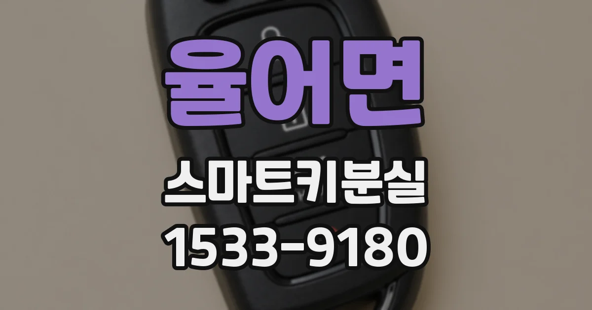 율어면 스마트키분실