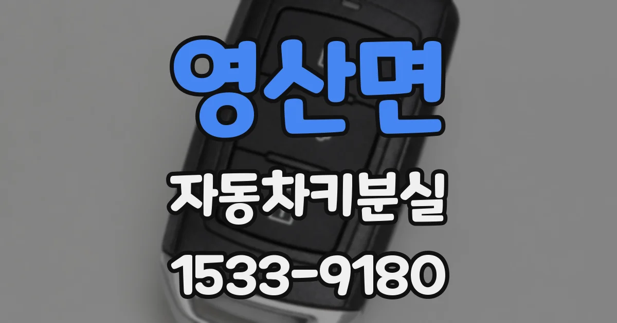 영산면 자동차키분실