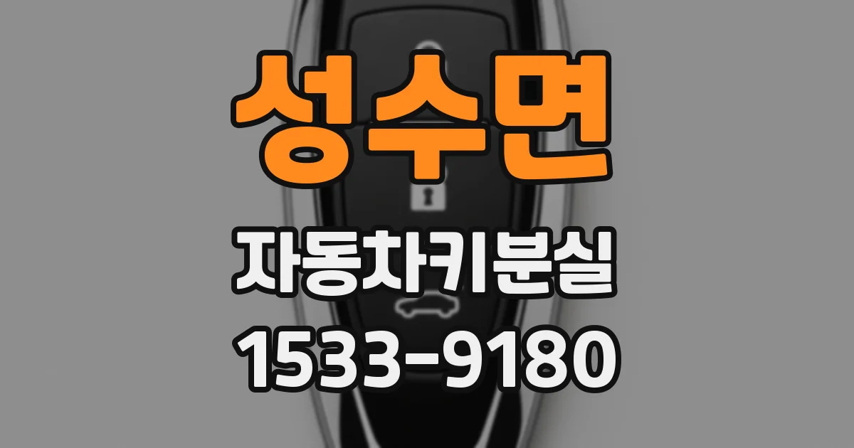 성수면 자동차키분실