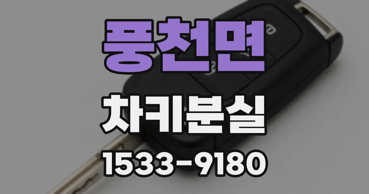 풍천면 차키분실
