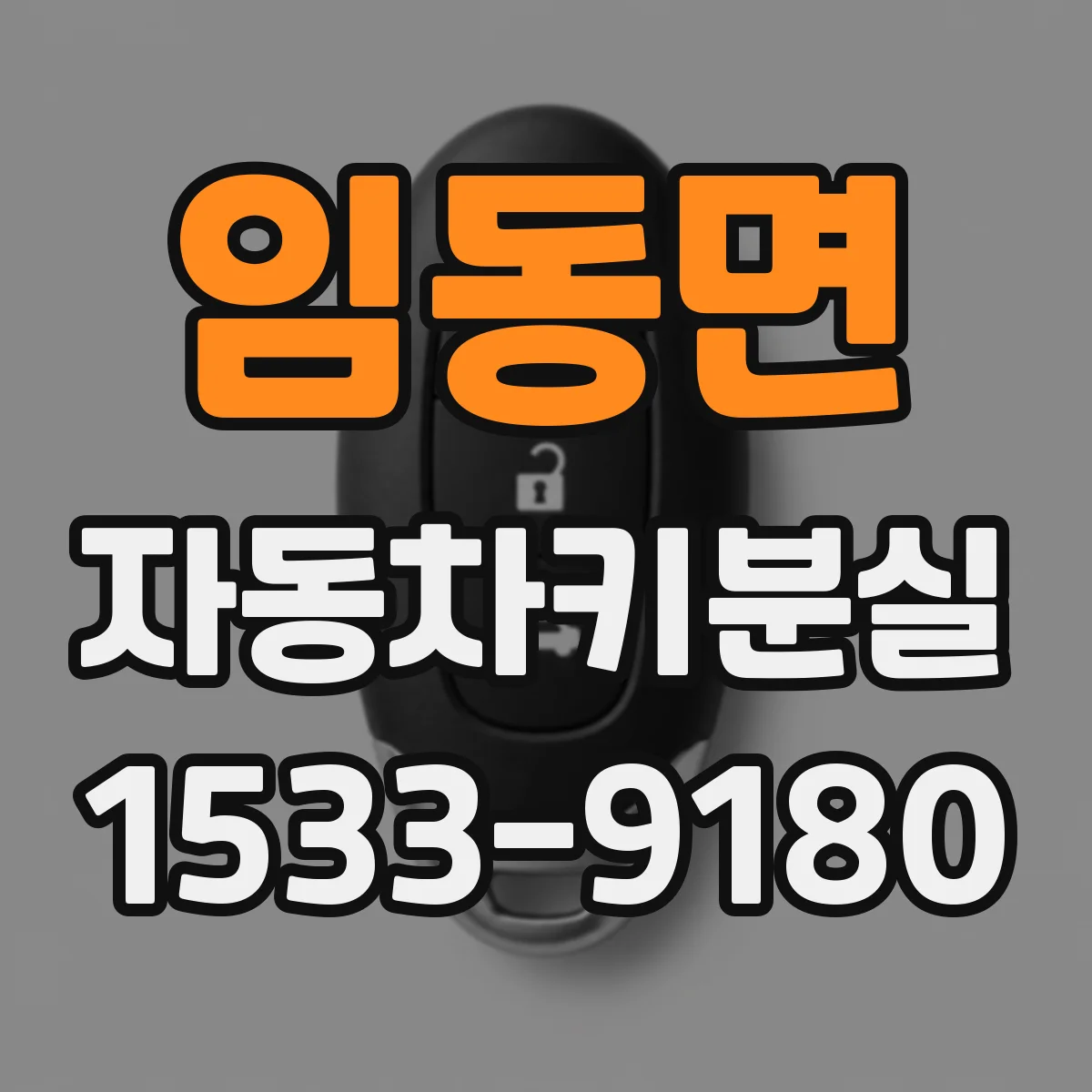 임동면 자동차키분실