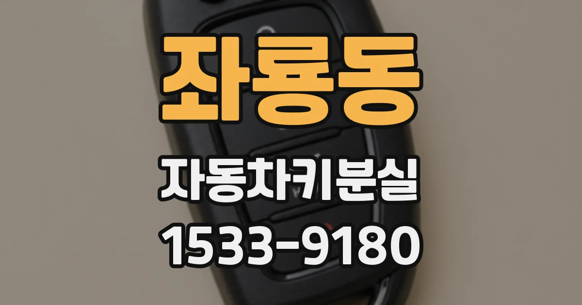 좌룡동 자동차키분실