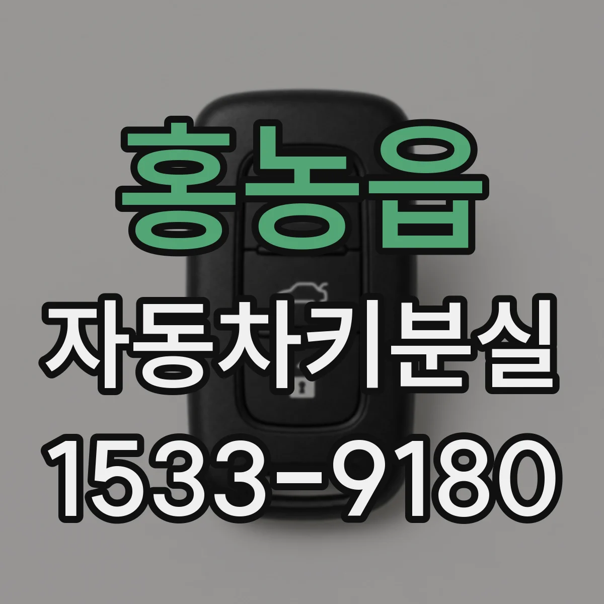 홍농읍 자동차키분실