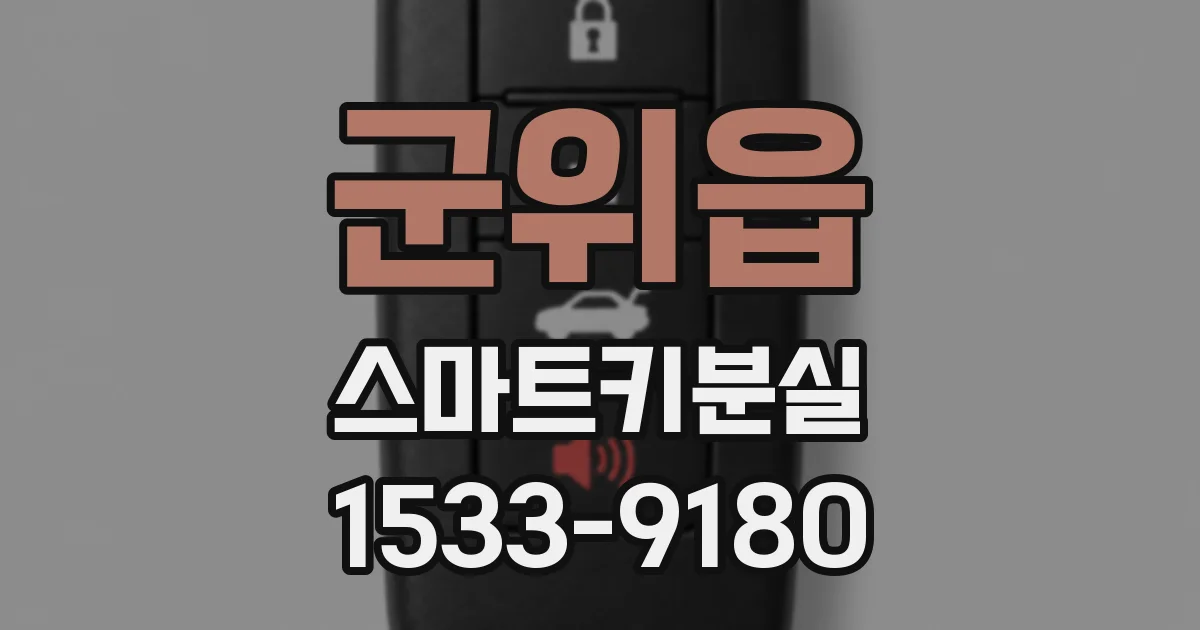 군위읍 스마트키분실