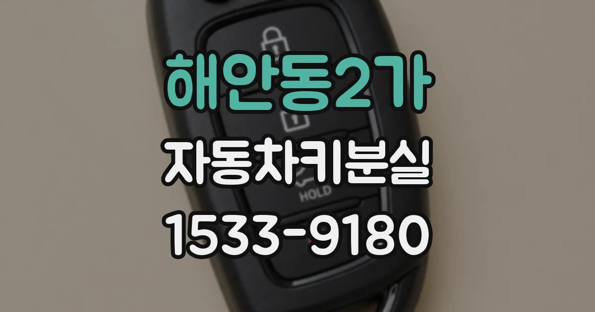 해안동2가 자동차키분실