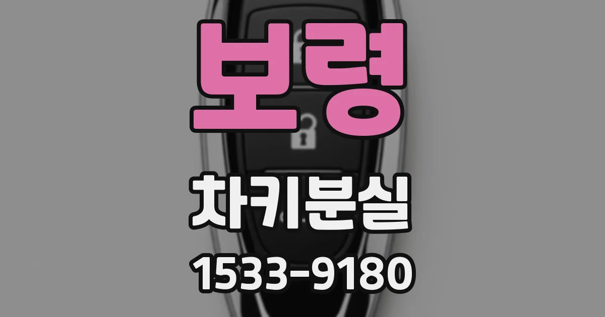 보령 차키분실