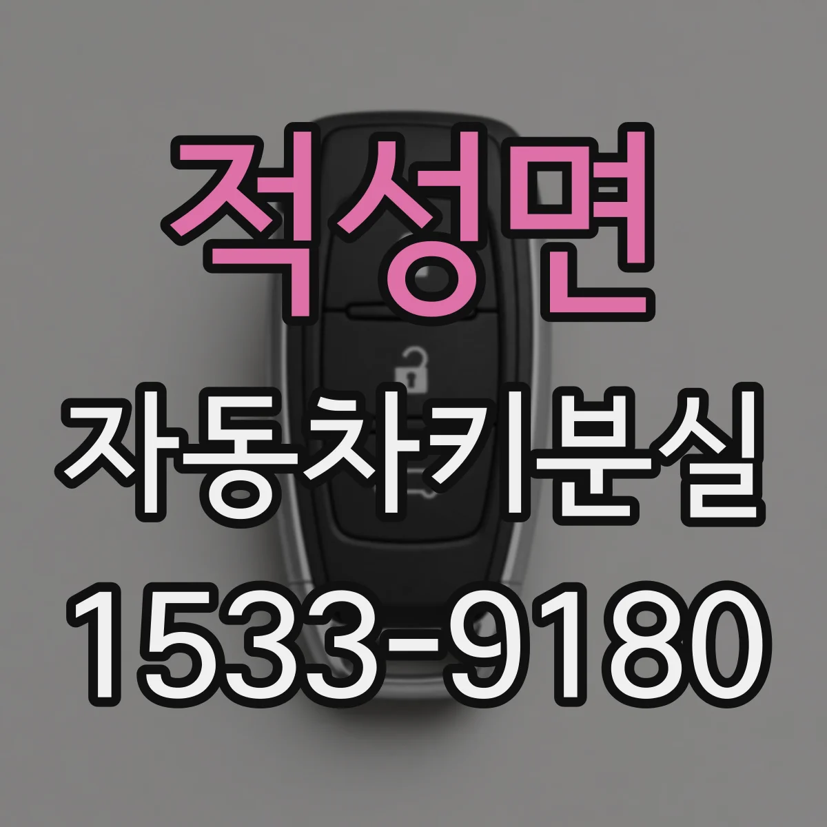 적성면 자동차키분실