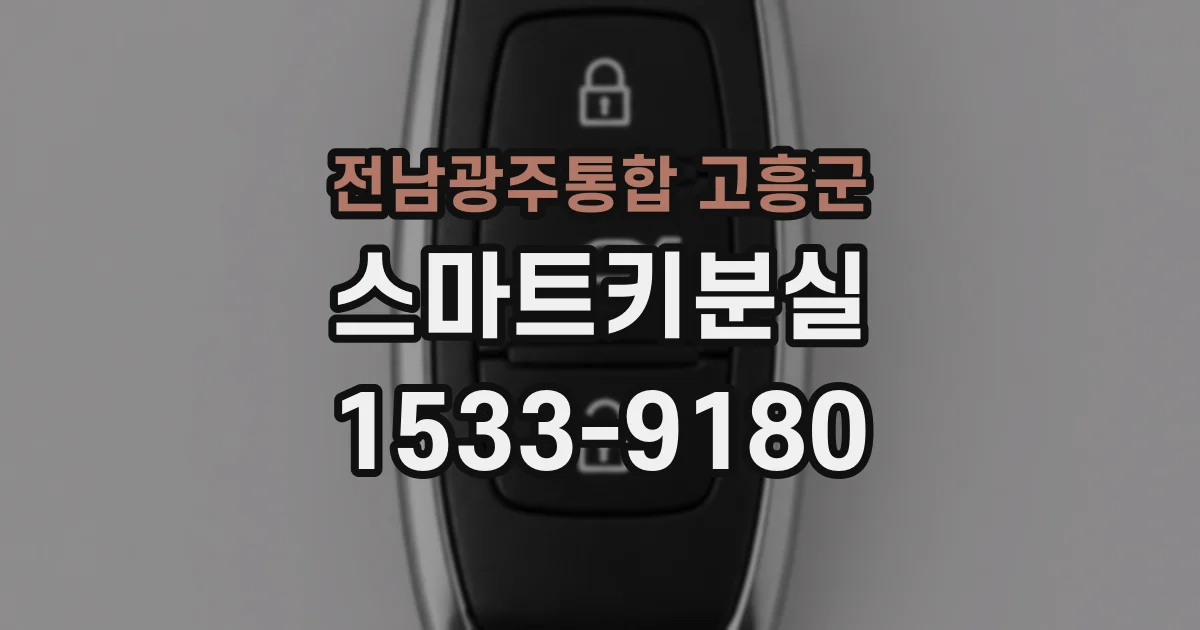 전남광주통합 고흥군 스마트키분실