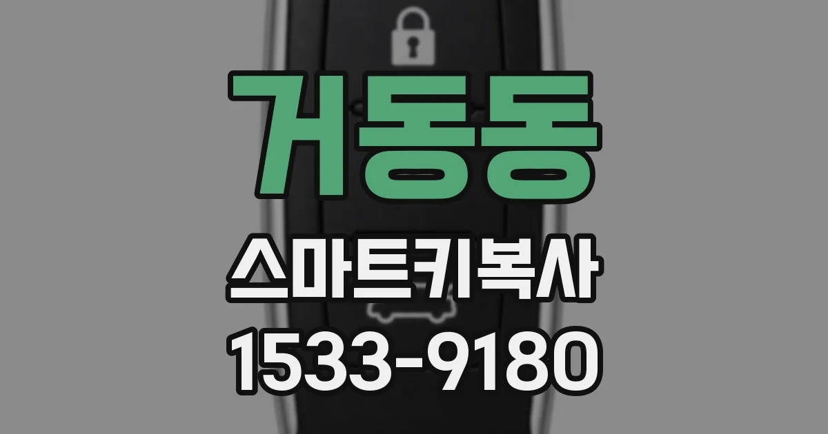 거동동 스마트키복사