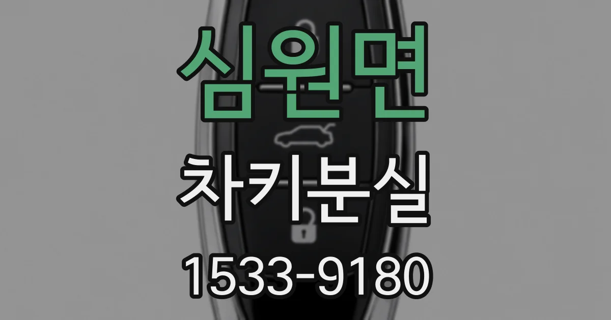 심원면 차키분실