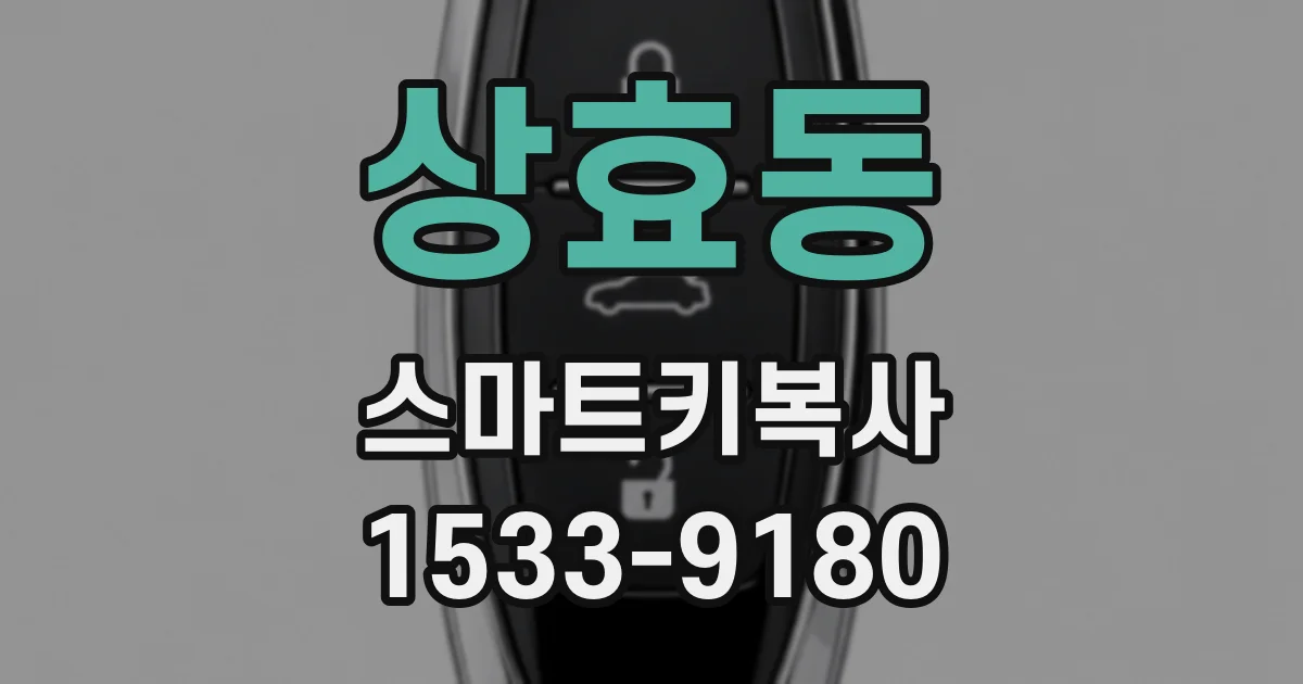 상효동 스마트키복사