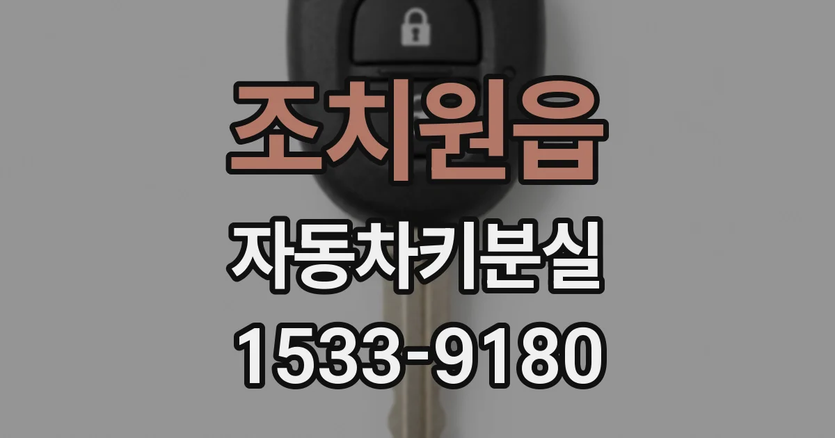 조치원읍 자동차키분실