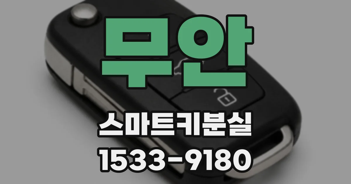 무안 스마트키분실