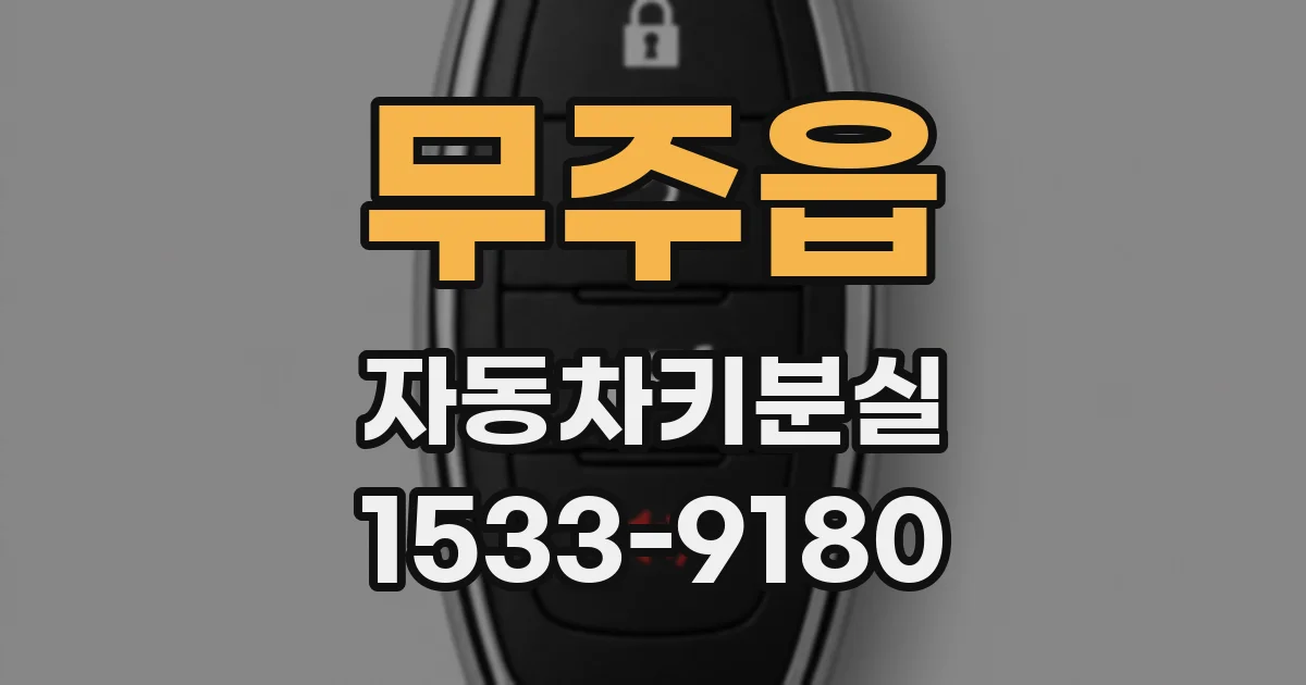 무주읍 자동차키분실