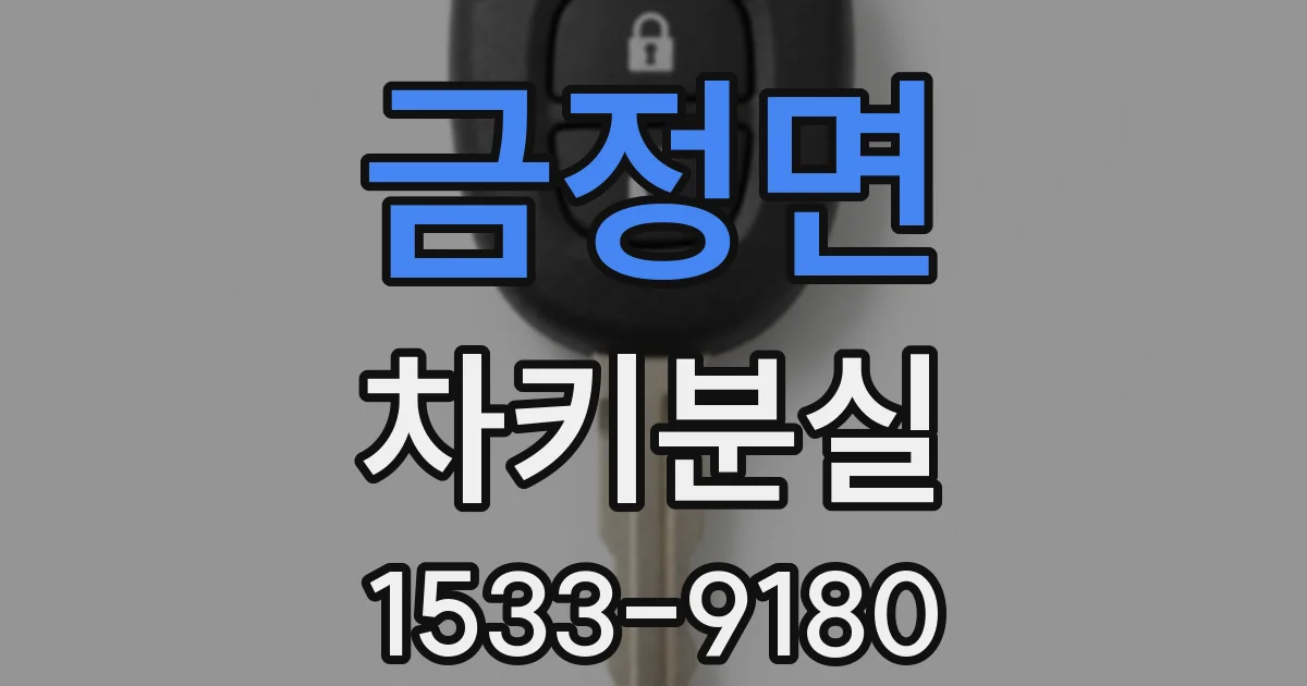 금정면 차키분실