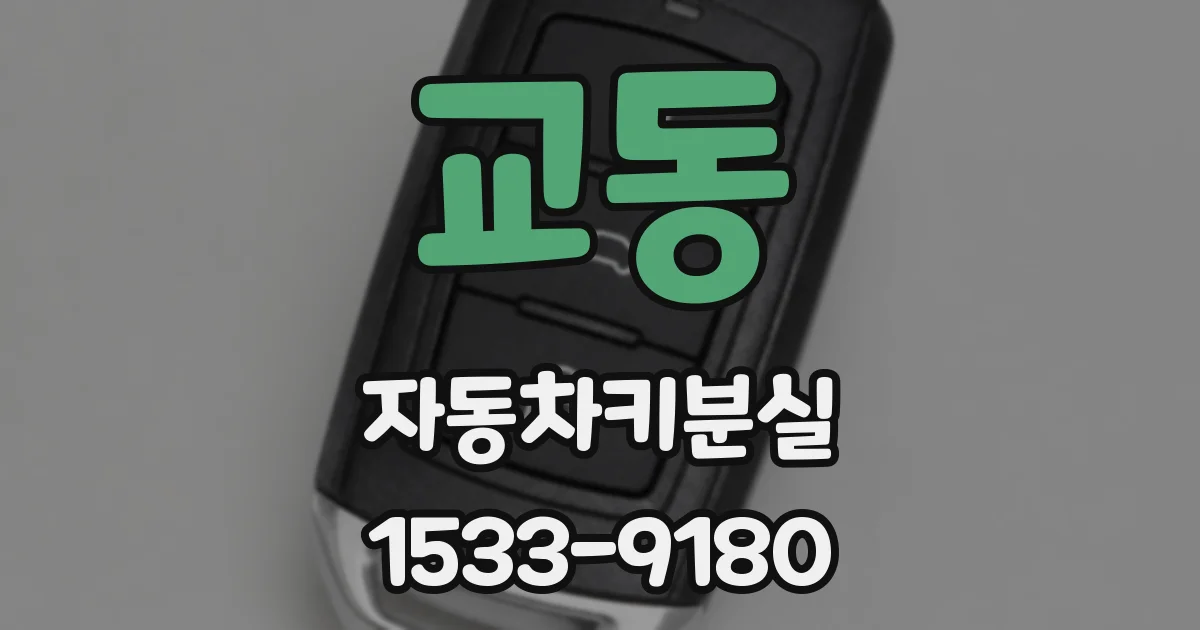 교동 자동차키분실