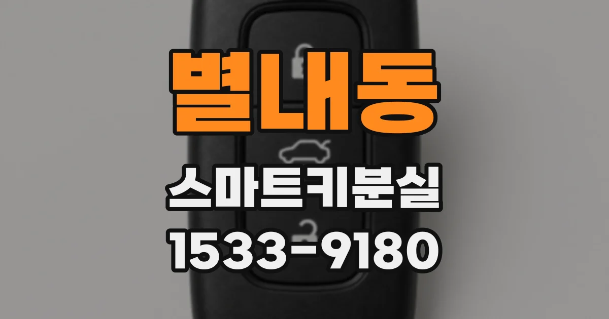 별내동 스마트키분실