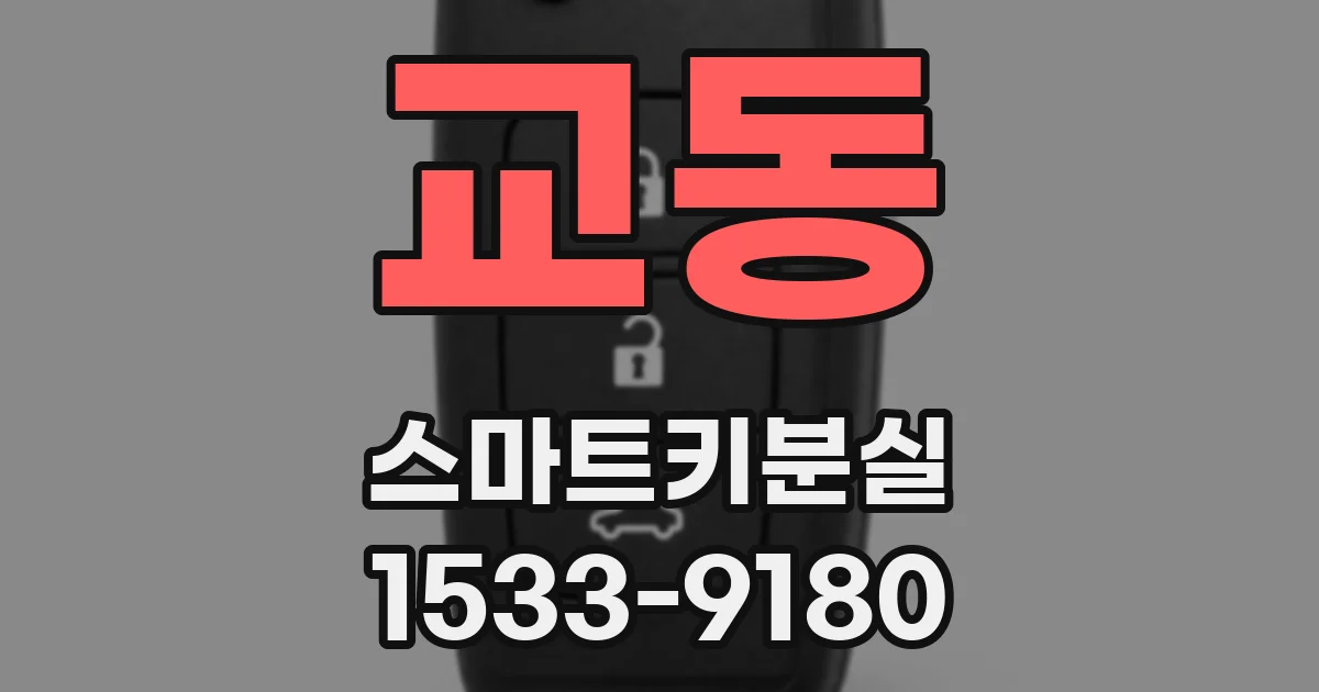 교동 스마트키분실