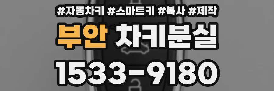 부안 차키분실