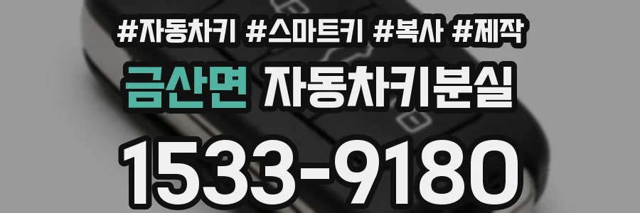 금산면 자동차키분실