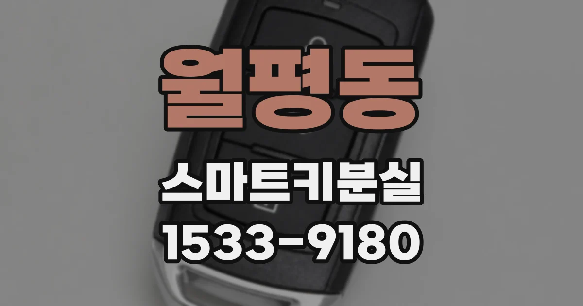 월평동 스마트키분실