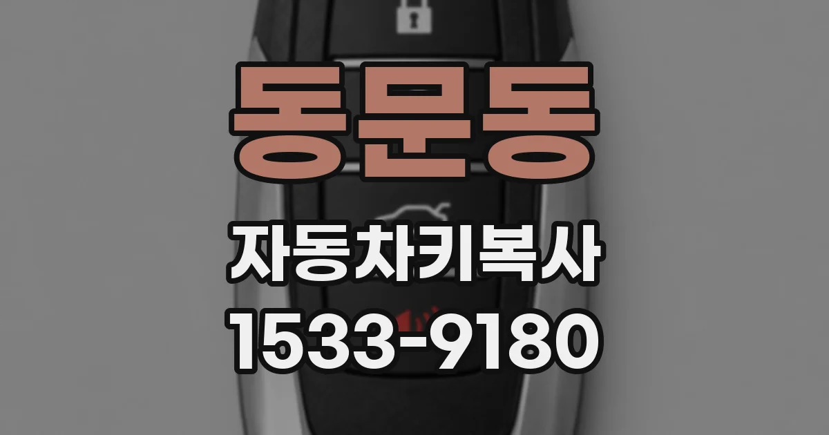 동문동 자동차키복사